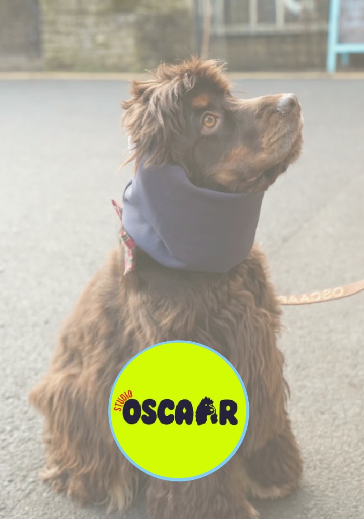 Studio Oscaar: hond met een snood en het groene Oscaar-logo